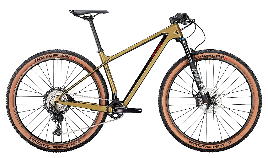Mountainbike-Hardtail